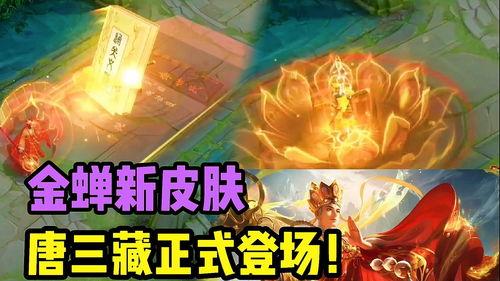 金蝉皮肤官方爆料最新版,官方爆料揭示神秘新版本亮点