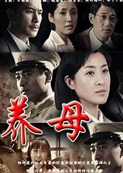 电视剧养母在线观看,温情演绎母爱如山  第2张