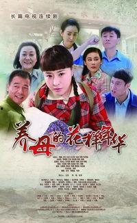 电视剧养母在线观看,温情演绎母爱如山  第3张