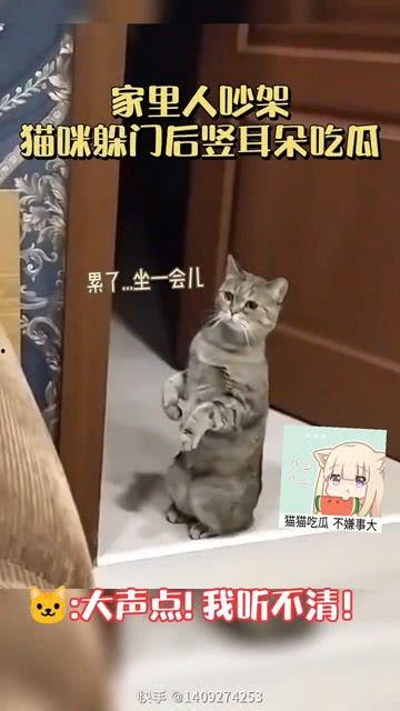三人逗猫吃瓜视频大全免费观看,免费观看视频大全来袭！