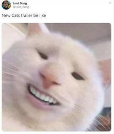 三人逗猫吃瓜视频大全免费观看,免费观看视频大全来袭！  第3张