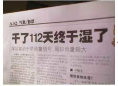 新闻事故爆料怎么写标题,揭秘新闻背后的真相与反思