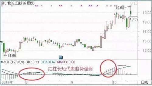 蘑菇黑料爆料事件视频,揭秘网络舆论背后的真相 第2张 蘑菇黑料爆料事件视频,揭秘网络舆论背后的真相 第2张