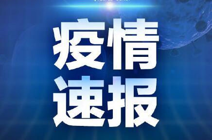 青岛今日新闻爆料电话,揭秘今日焦点  第3张