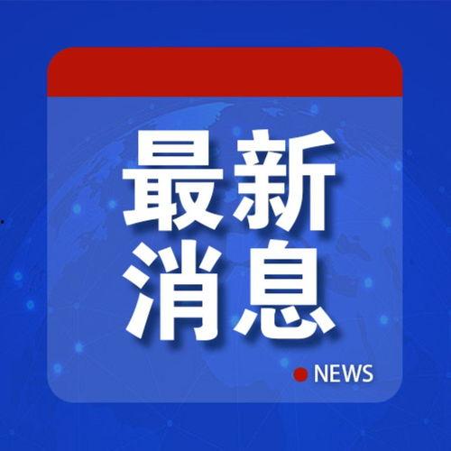 近期爆料新闻,真相与舆论的碰撞