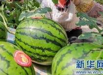 临县吃瓜事件最新爆料信息,最新爆料揭露惊人内幕 第1张 临县吃瓜事件最新爆料信息,最新爆料揭露惊人内幕 第1张